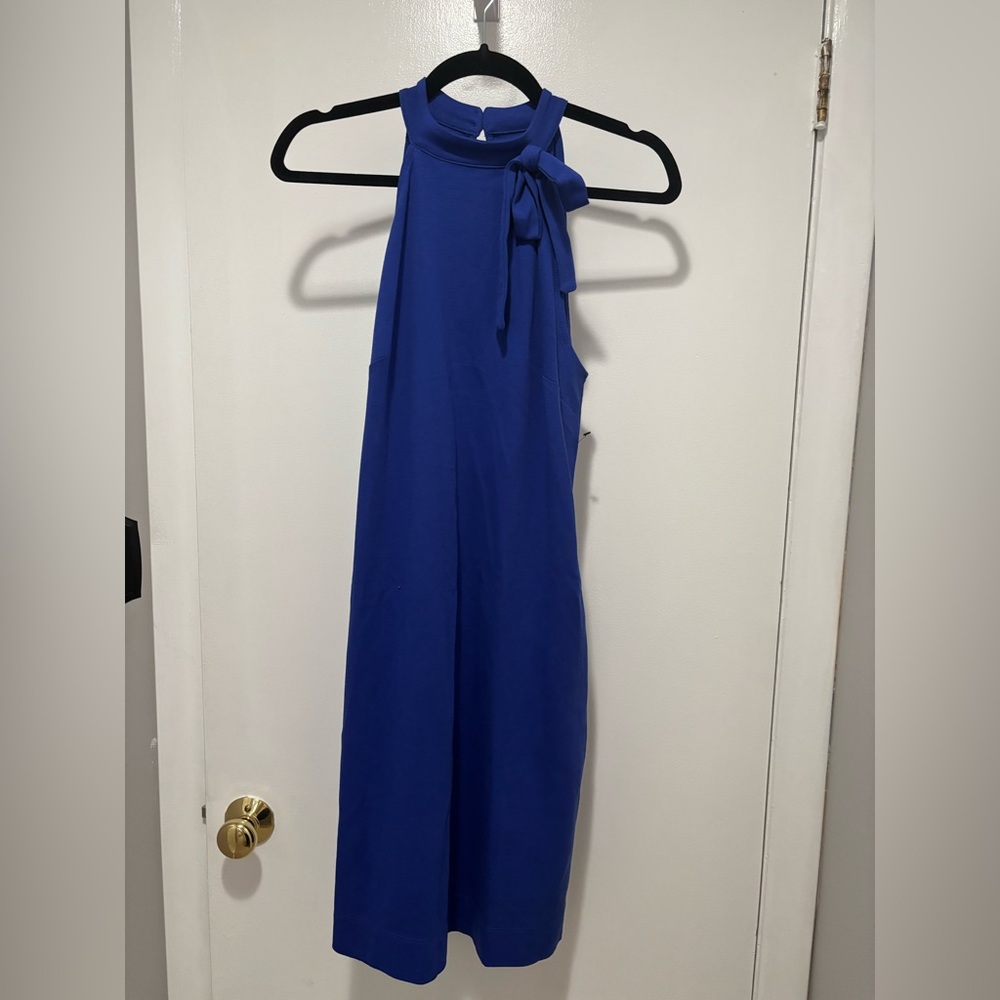 New York & Company Cobalt Blue Halter Dress Medium